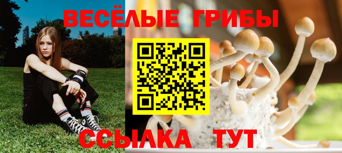 Галлюциногенные грибы мицелий Саратов
